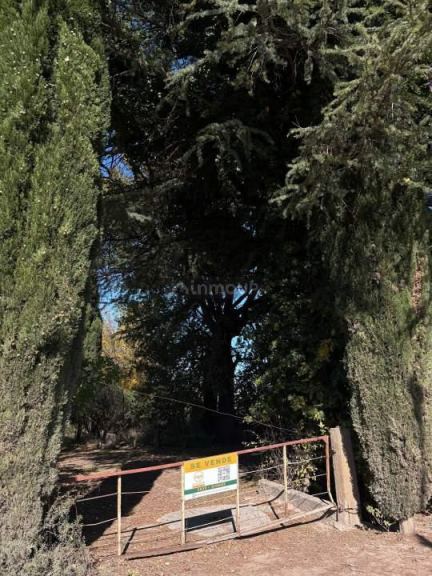Finca en Venta en General alvear, Mendoza