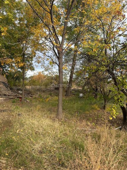 Finca en Venta en General alvear, Mendoza