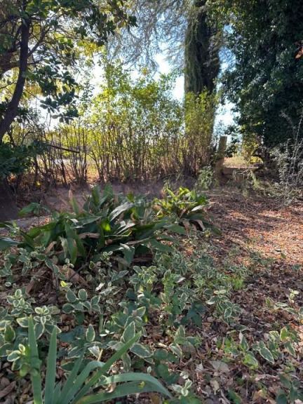 Finca en Venta en General alvear, Mendoza