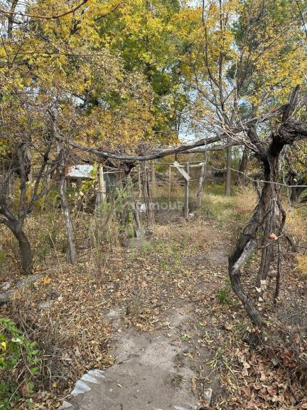 Finca en Venta en General alvear, Mendoza