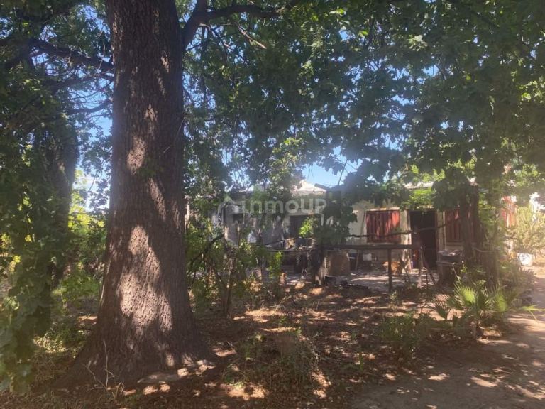 Finca en Venta en General alvear, Mendoza