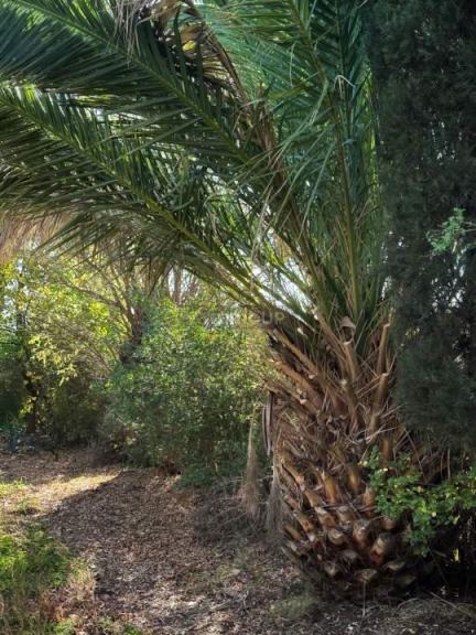 Finca en Venta en General alvear, Mendoza