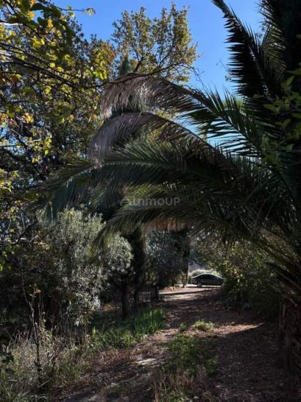 Finca en Venta en General alvear, Mendoza