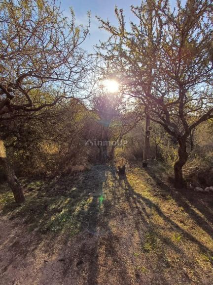 Local Comercial en Alquiler en Chacabuco, San Luis