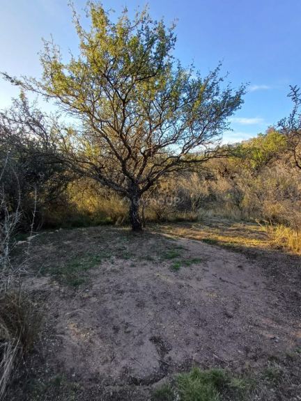 Local Comercial en Alquiler en Chacabuco, San Luis