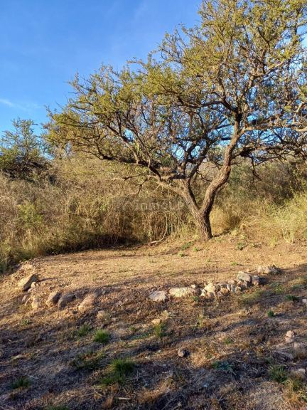 Local Comercial en Alquiler en Chacabuco, San Luis