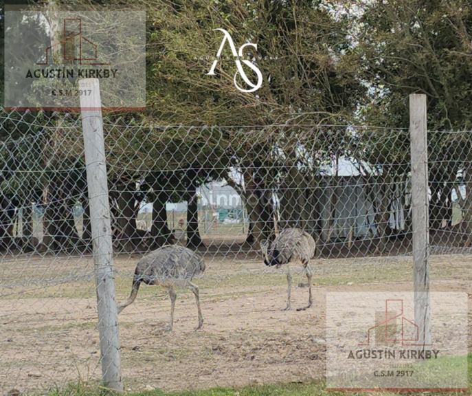 Terreno en Venta en General Rodriguez, G.B.A. Zona Oeste
