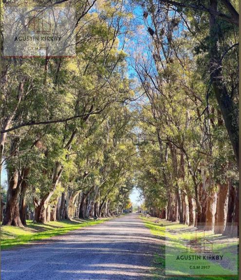 Terreno en Venta en San Andres de Giles, Buenos Aires Interior