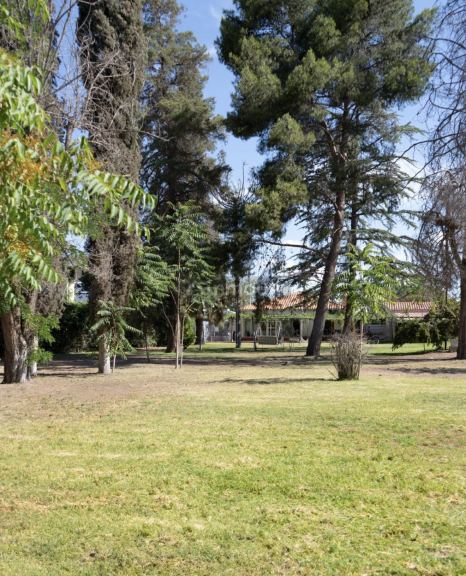 Casa en Alquiler Temporario en Maipu, Mendoza