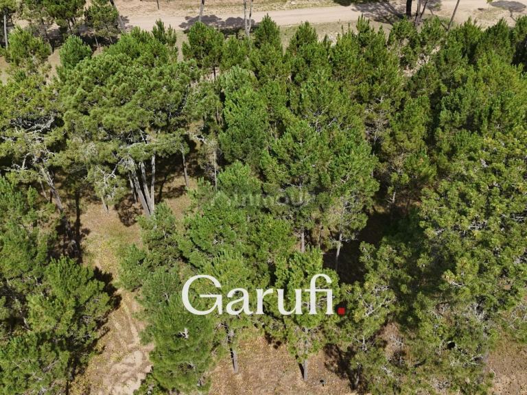 Terreno en Venta en Pinamar, Buenos Aires Costa Atlantica