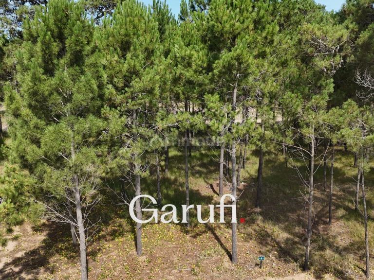 Terreno en Venta en Pinamar, Buenos Aires Costa Atlantica