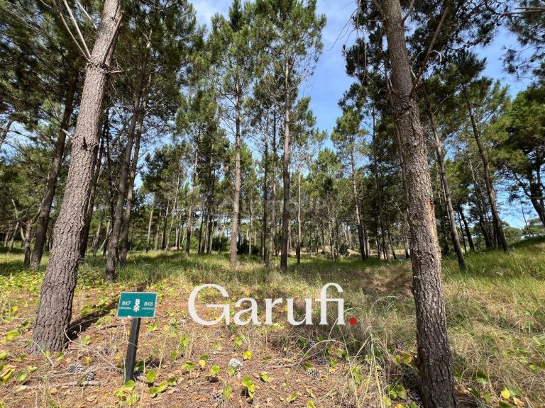 Terreno en Venta en Pinamar, Buenos Aires Costa Atlantica