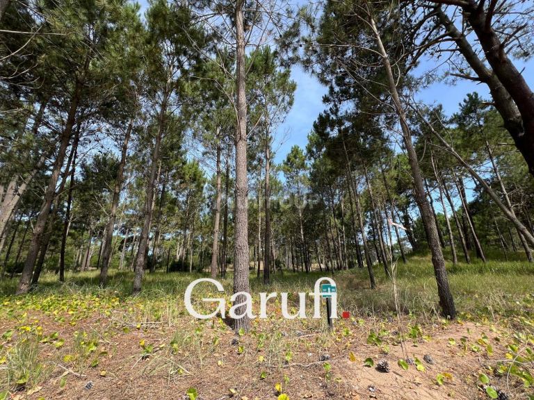 Terreno en Venta en Pinamar, Buenos Aires Costa Atlantica
