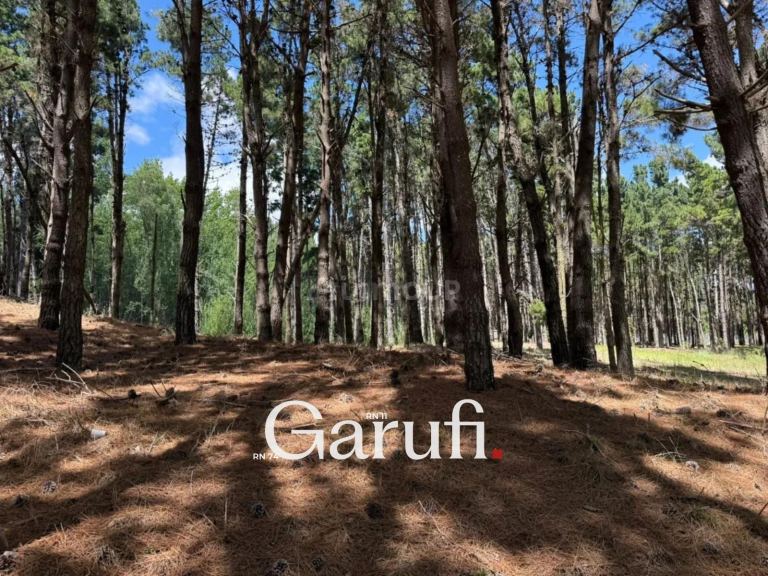 Terreno en Venta en Pinamar, Buenos Aires Costa Atlantica