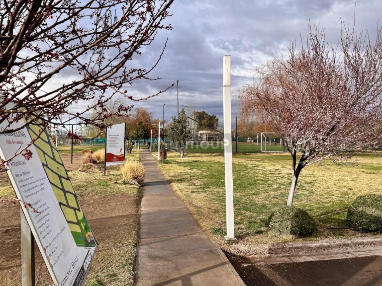 Lote en Venta en San Martin, Mendoza