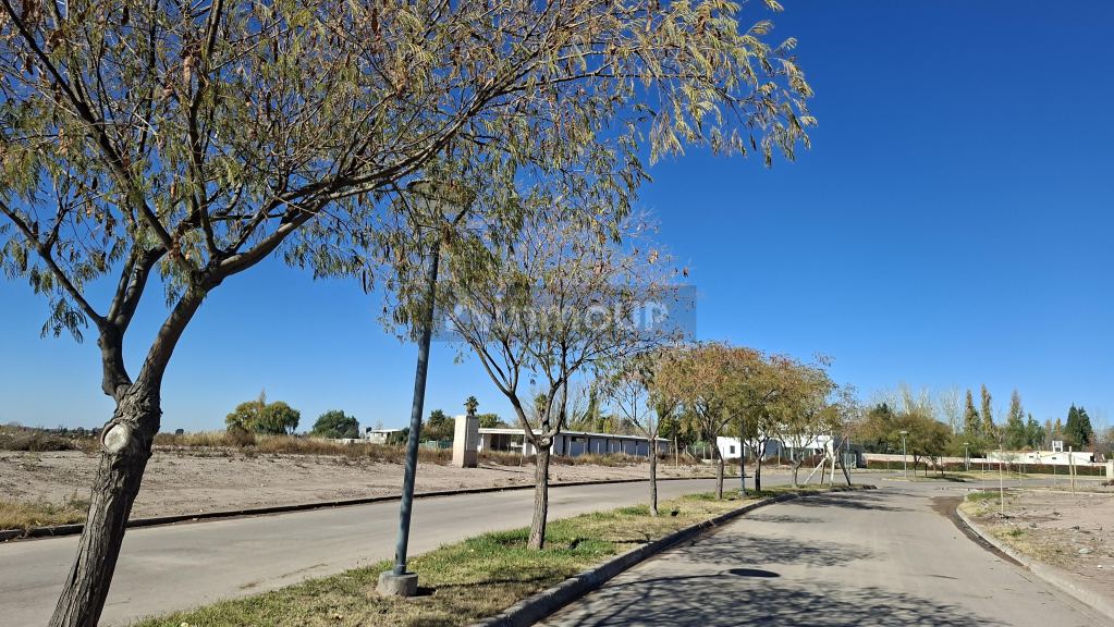 Lote en Venta en Lujan de Cuyo, Mendoza