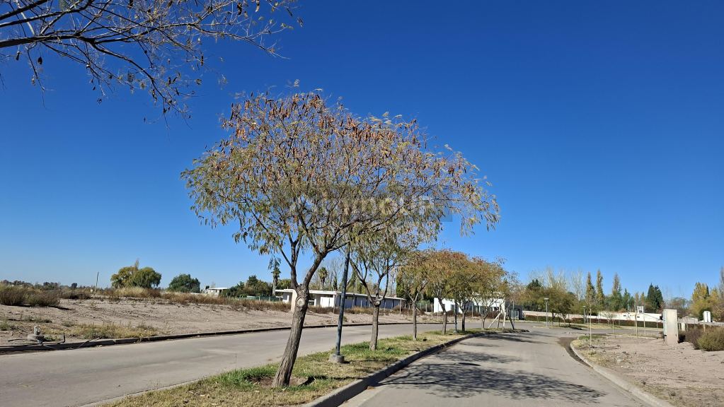 Lote en Venta en Lujan de Cuyo, Mendoza