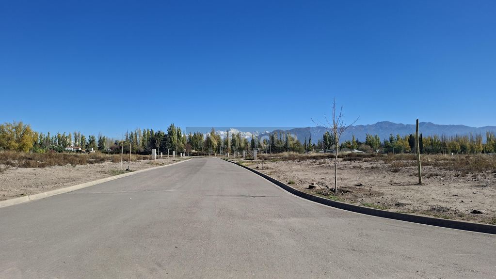 Lote en Venta en Lujan de Cuyo, Mendoza