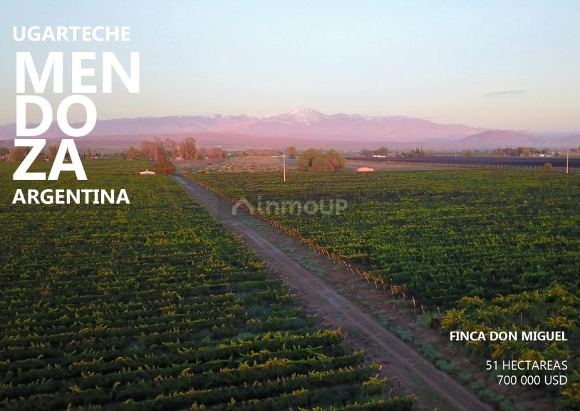 Finca en Venta en Lujan de Cuyo, Mendoza