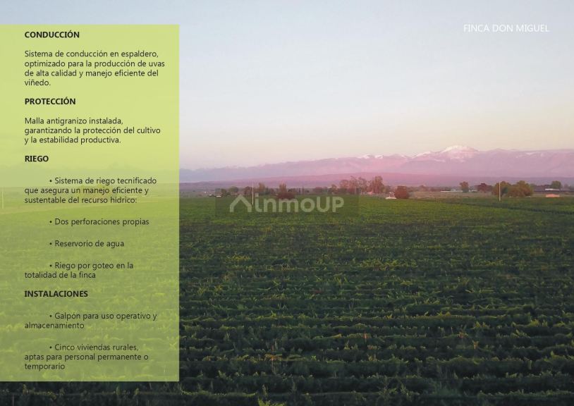 Finca en Venta en Lujan de Cuyo, Mendoza