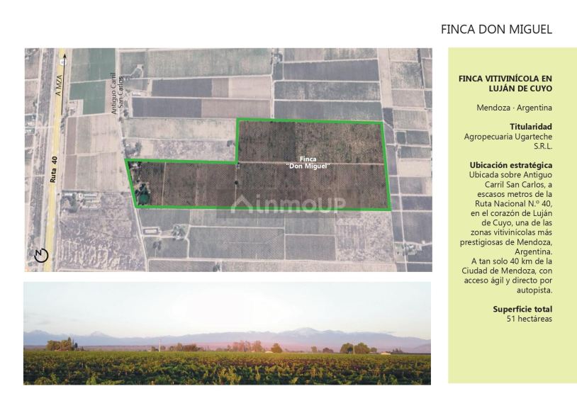Finca en Venta en Lujan de Cuyo, Mendoza