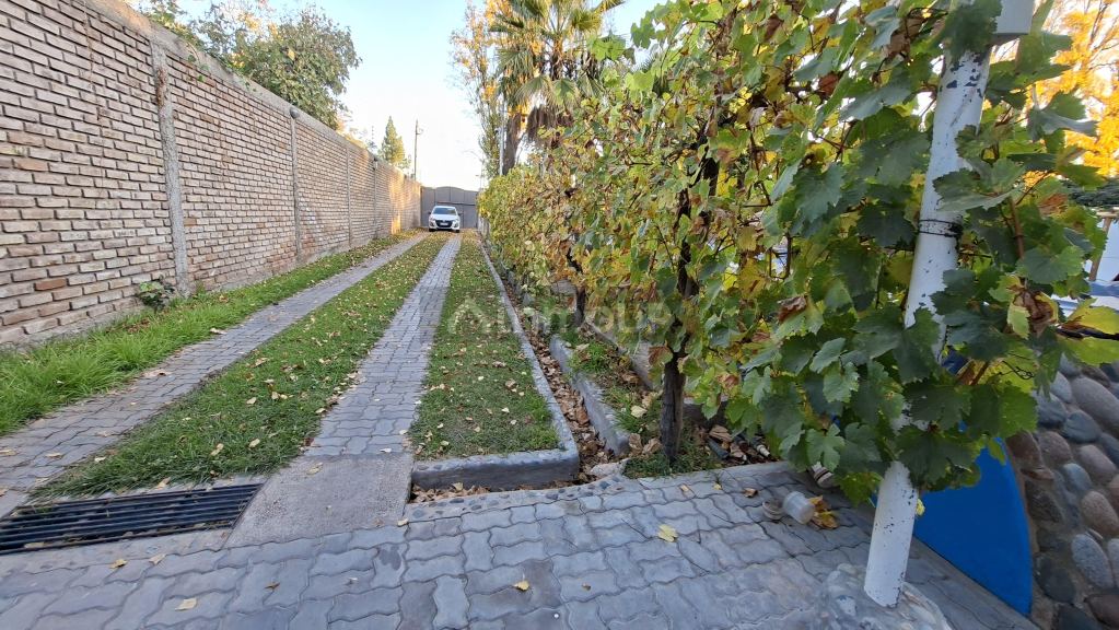 Galpon en Alquiler en Lujan de Cuyo, Mendoza