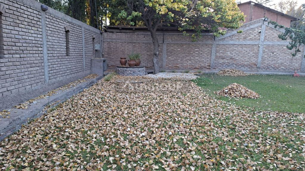 Galpon en Alquiler en Lujan de Cuyo, Mendoza
