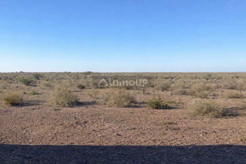 Finca en Venta en Rivadavia, Mendoza