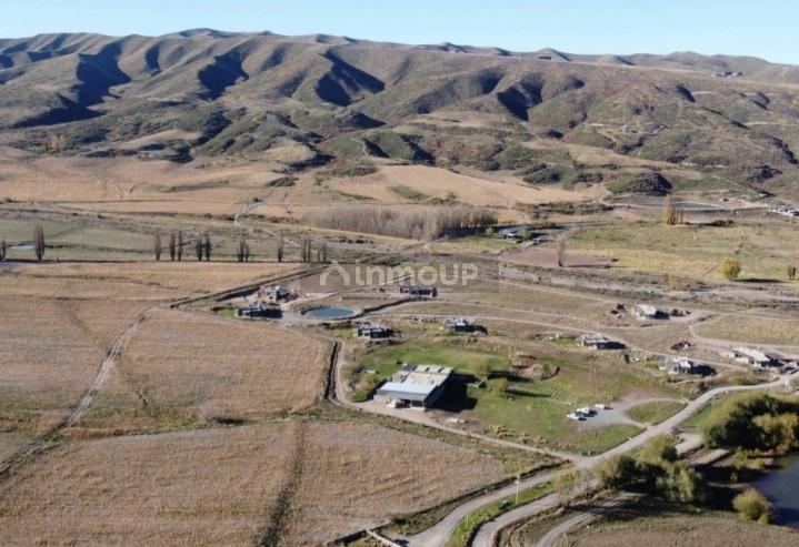 Finca en Venta en Tupungato, Mendoza