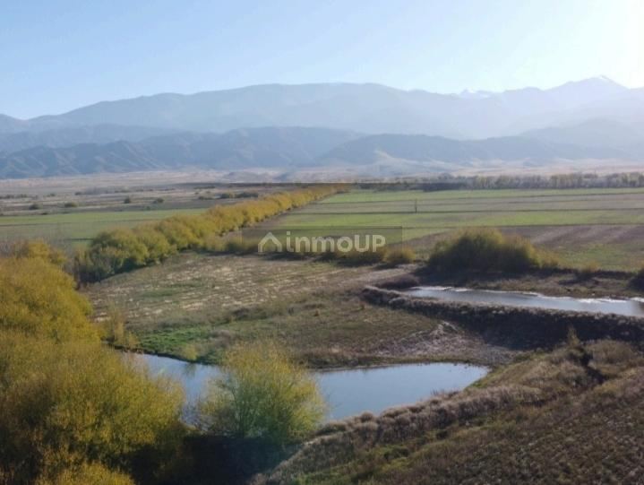 Finca en Venta en Tupungato, Mendoza