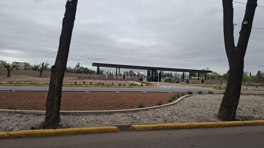 Lujan de Cuyo ICON BESARES