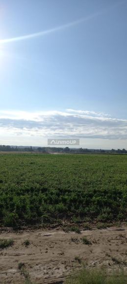Finca en Venta en Lujan de Cuyo, Mendoza