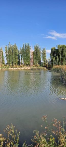 Finca en Venta en Lujan de Cuyo, Mendoza