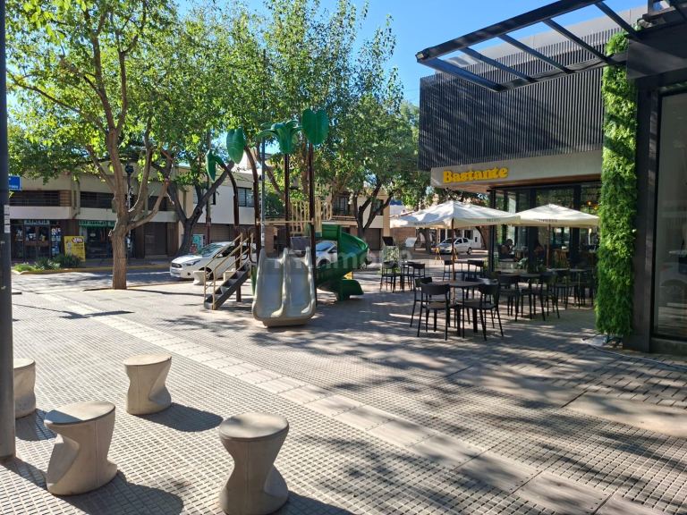 Local Comercial en Alquiler en Capital, Mendoza
