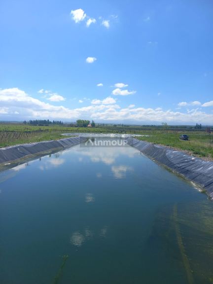 Finca en Venta en Tupungato, Mendoza