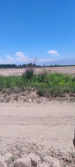 Lote en Venta en Lujan de Cuyo, Mendoza