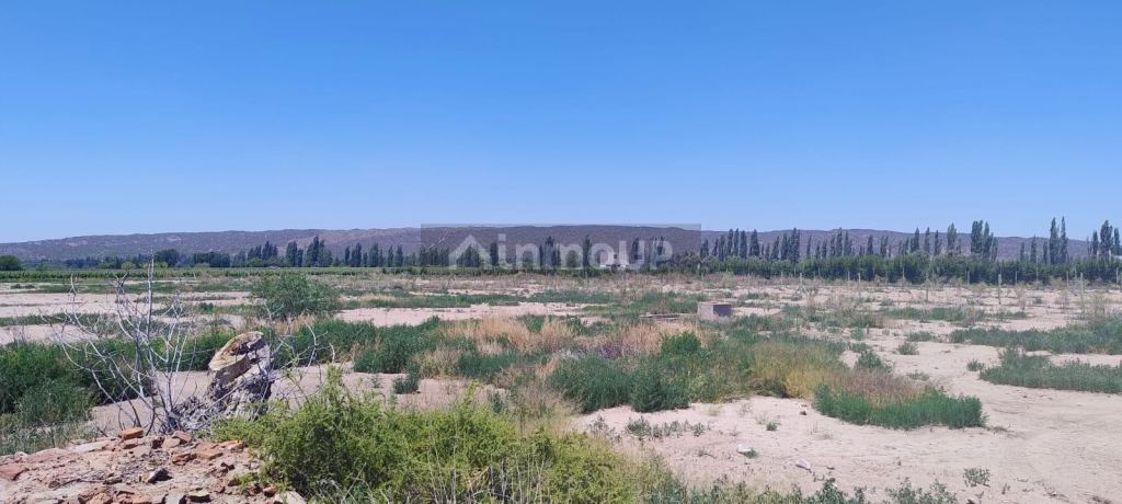 Lote en Venta en Lujan de Cuyo, Mendoza