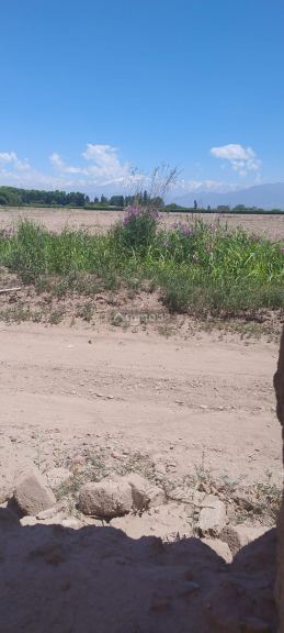 Lote en Venta en Lujan de Cuyo, Mendoza