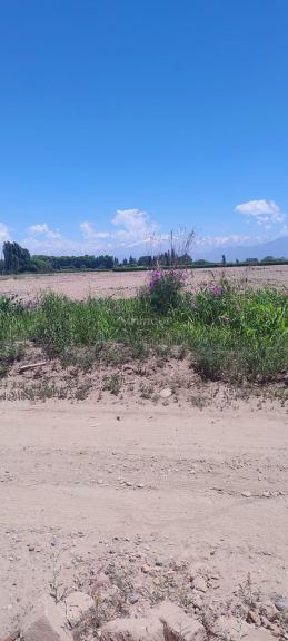 Lote en Venta en Lujan de Cuyo, Mendoza