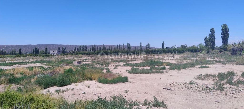 Lote en Venta en Lujan de Cuyo, Mendoza
