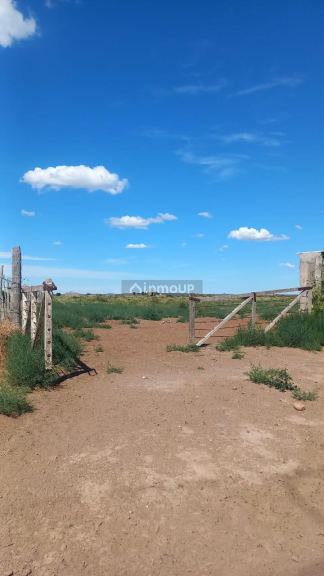 Campo en Venta en Lujan de Cuyo, Mendoza