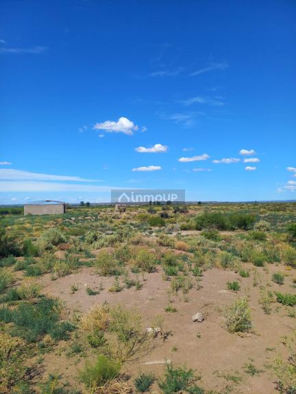Campo en Venta en Lujan de Cuyo, Mendoza