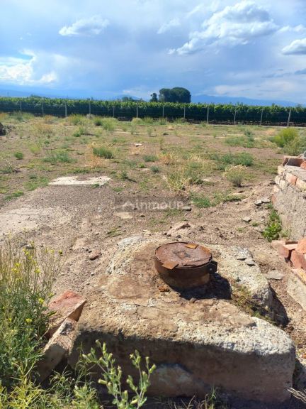 Campo en Venta en Lujan de Cuyo, Mendoza