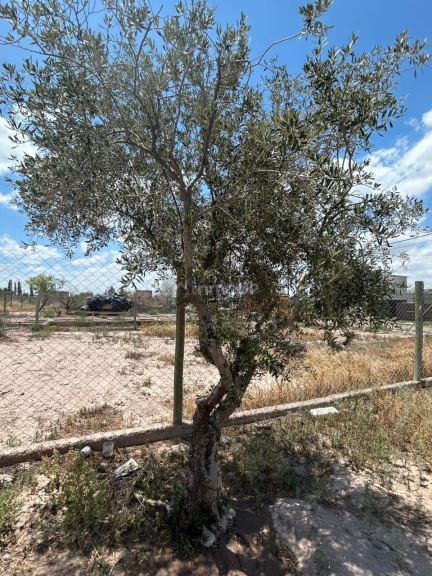 Lote en Venta en Maipu, Mendoza