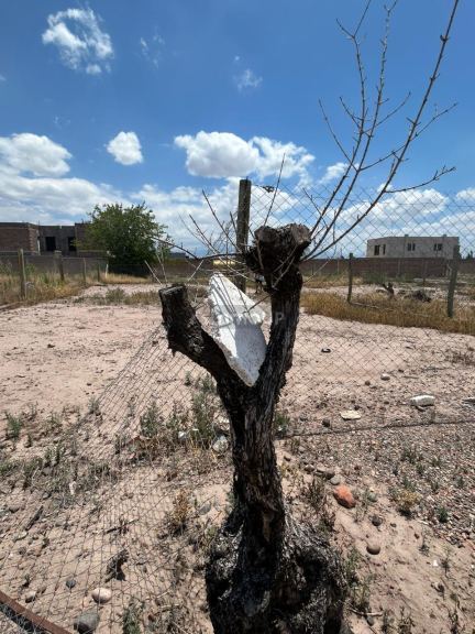 Lote en Venta en Maipu, Mendoza