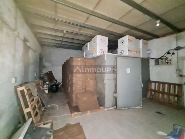 Fábrica en Venta en Nogoya, Entre Rios