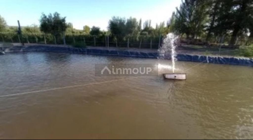 Terreno en Venta en Maipu, Mendoza