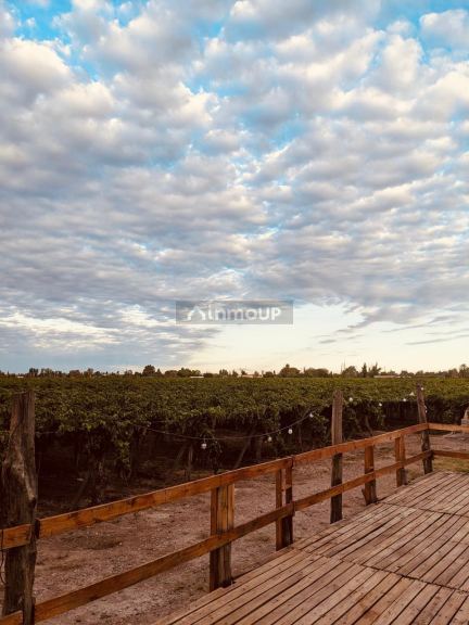 Casa Quinta en Venta en Junin, Mendoza