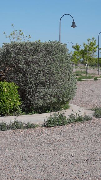 Casa en Venta en San Martin, Mendoza