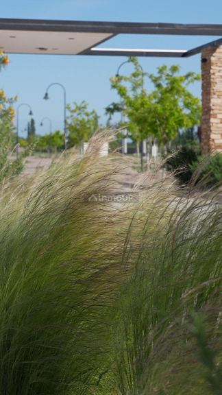 Casa en Venta en San Martin, Mendoza